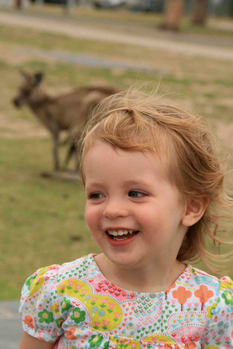 Kangaroos!