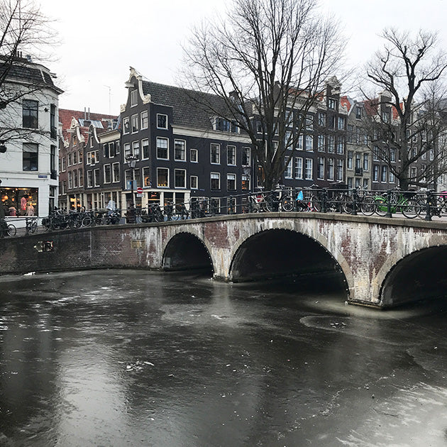Amsterdam icy canals