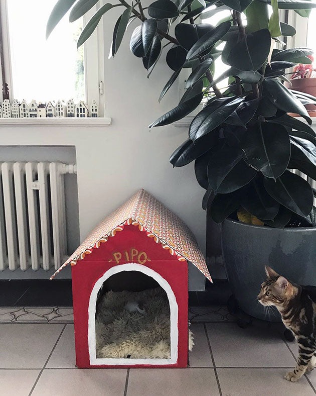 DIY house for your cat