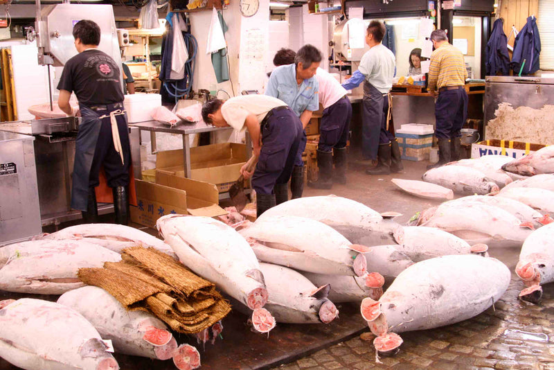 Tsukiji Fish Market