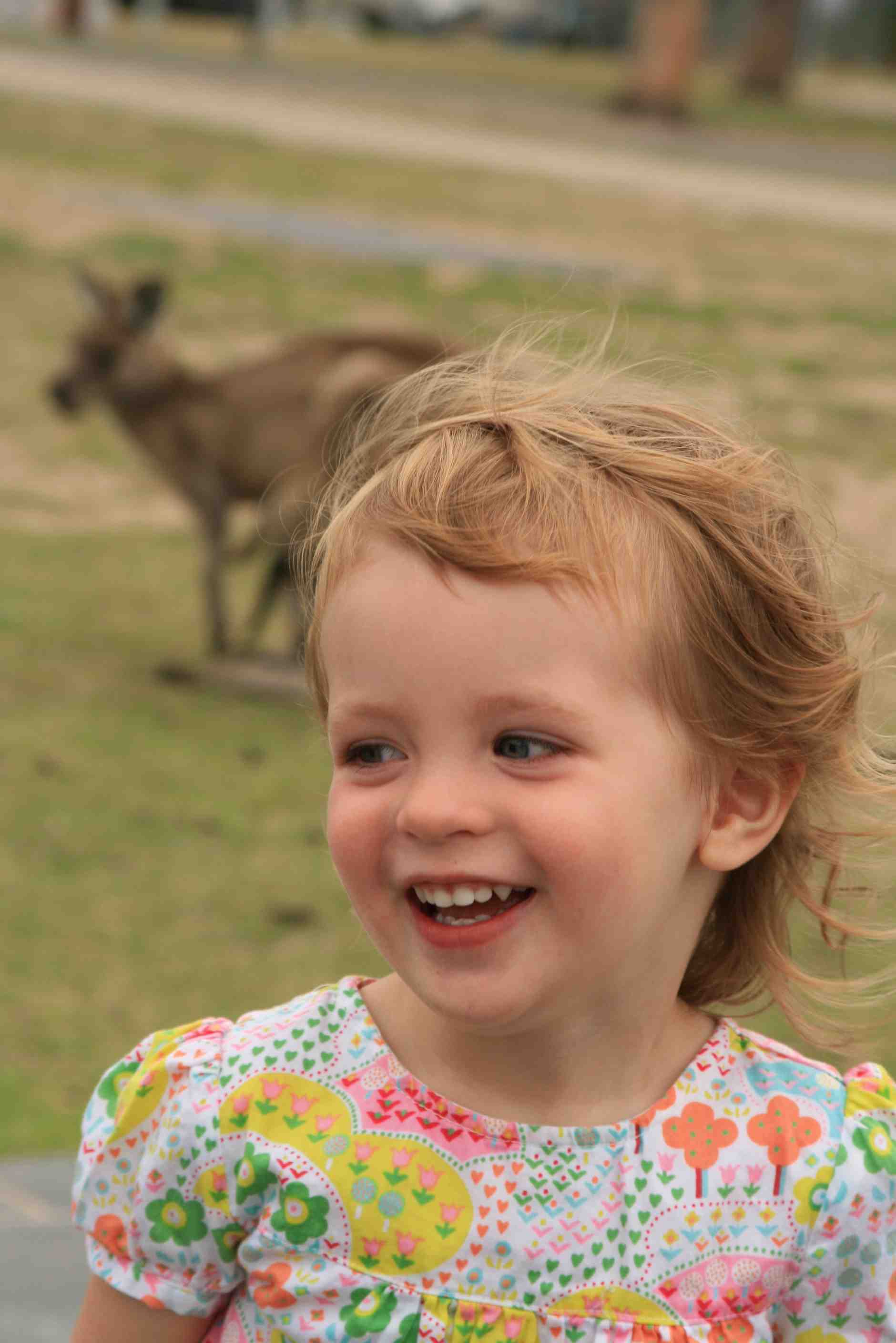 Kangaroos!