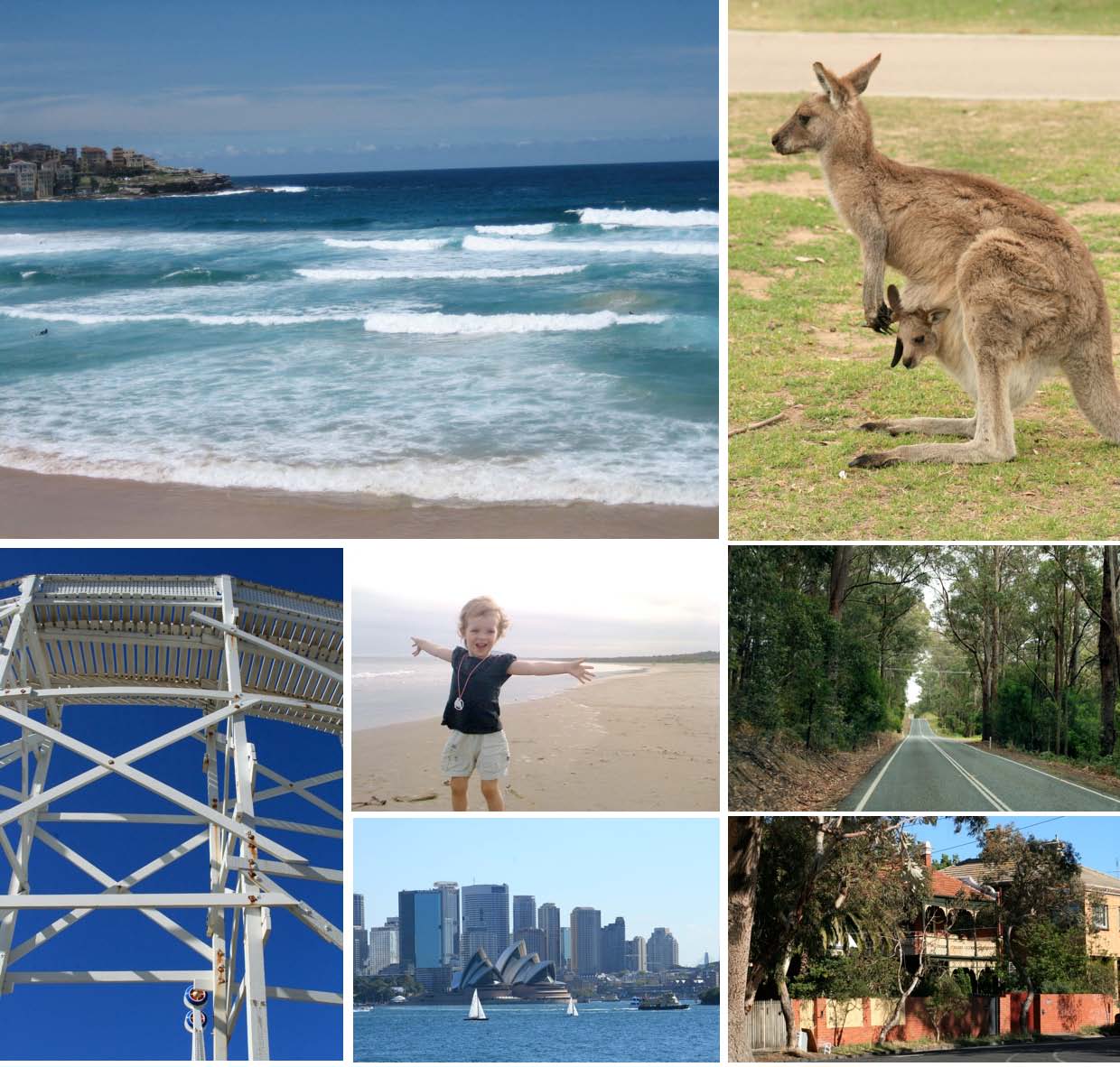 Goodbye Oz