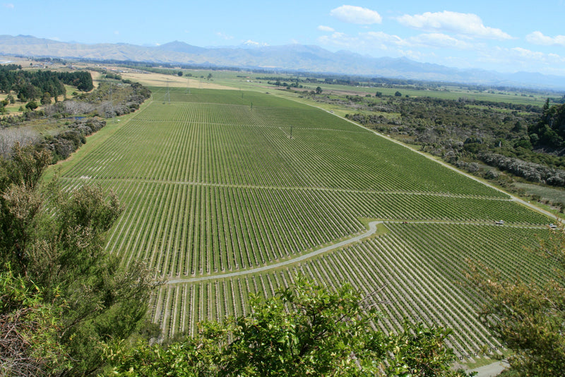 The end of the South Island